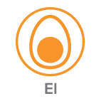 egg